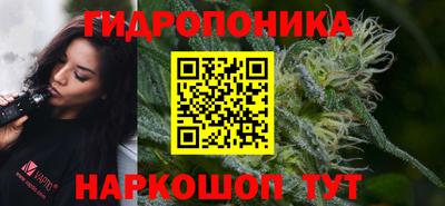 мяу мяу мука Апшеронск