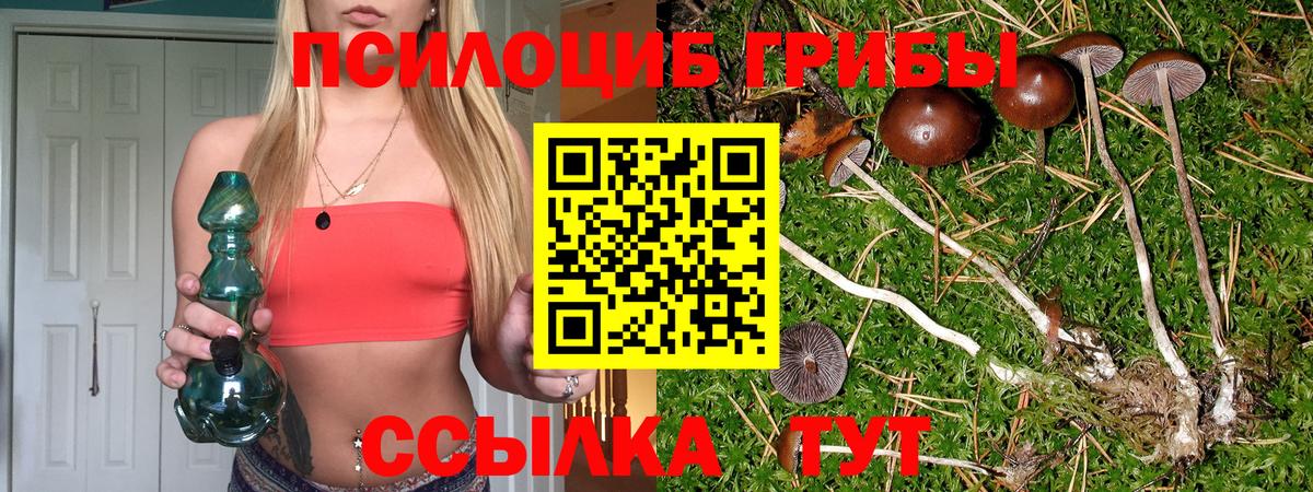 Галлюциногенные грибы MAGIC MUSHROOMS Балашиха