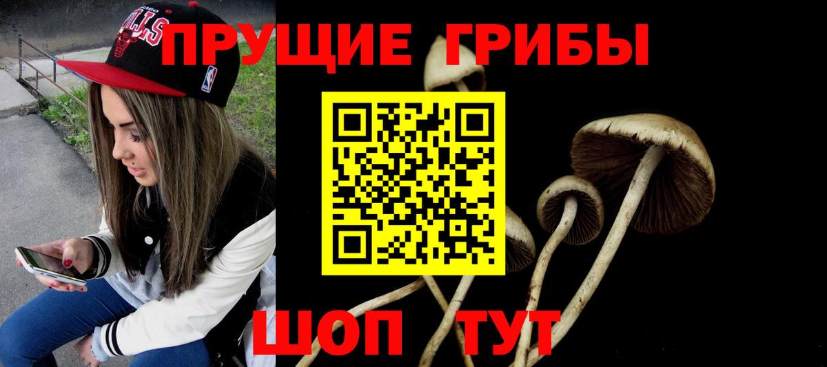 Галлюциногенные грибы GOLDEN TEACHER  Балашиха 